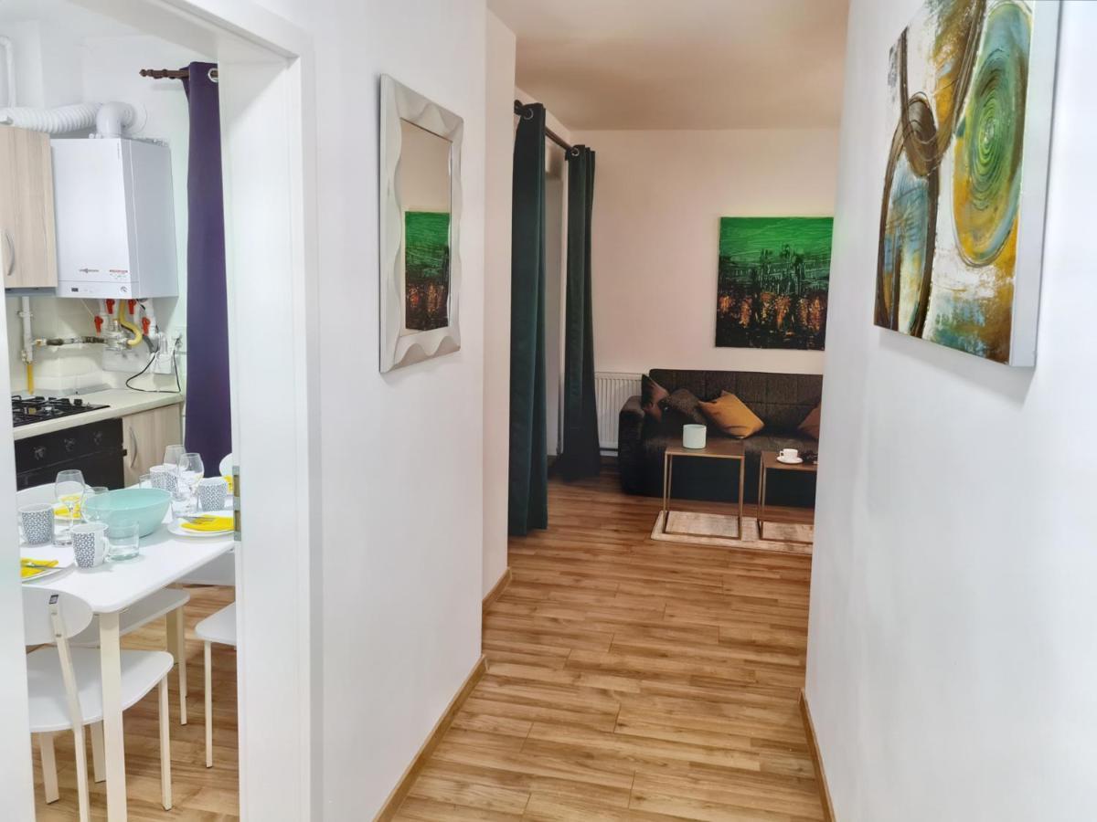 Lovely Ultracentral Apartment With Parking 克卢日-纳波卡 外观 照片