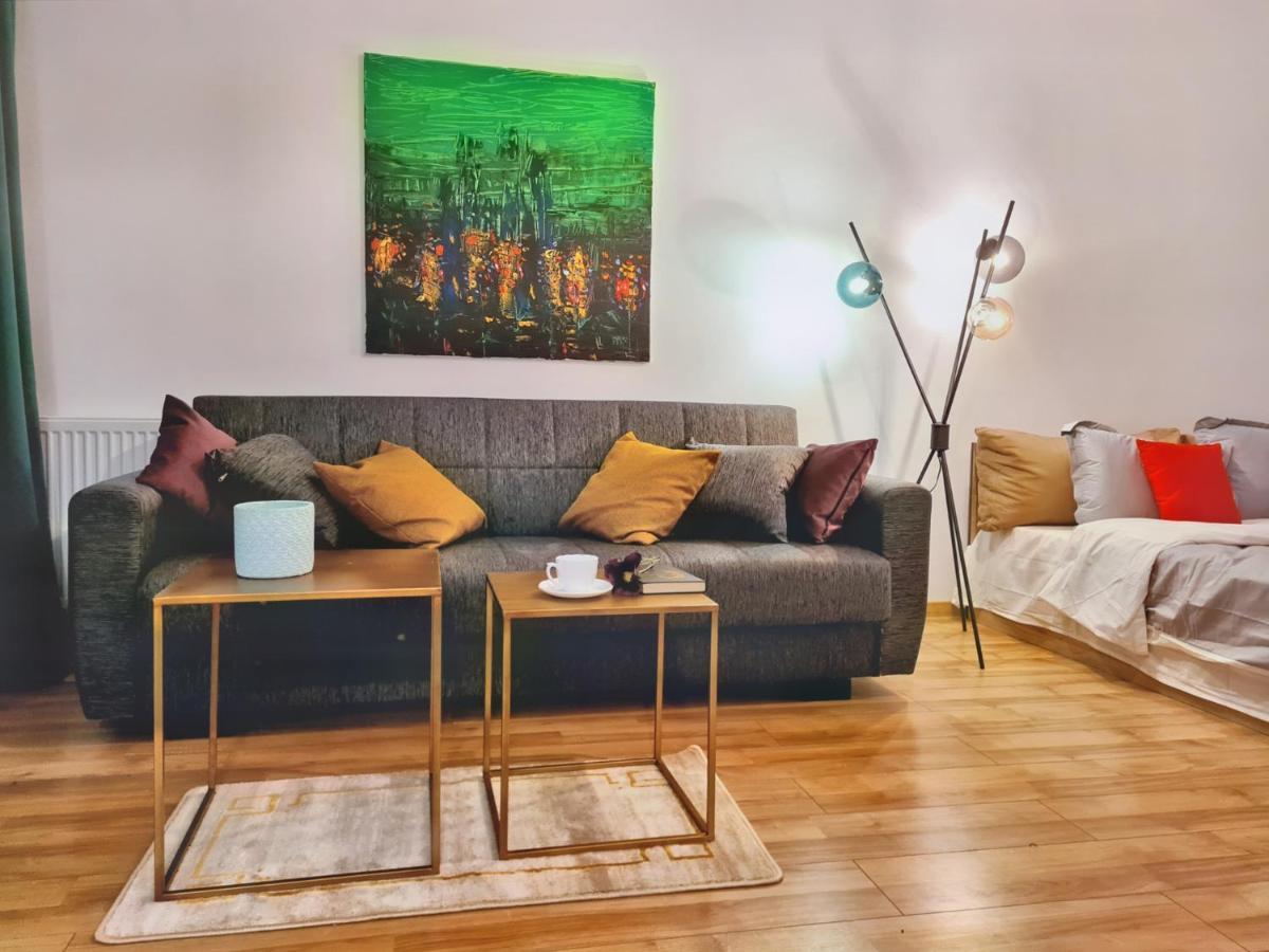 Lovely Ultracentral Apartment With Parking 克卢日-纳波卡 外观 照片
