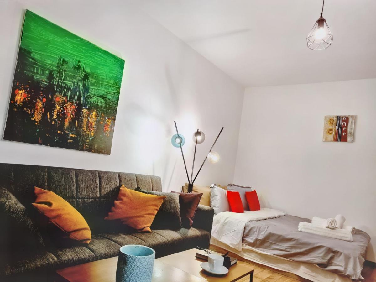 Lovely Ultracentral Apartment With Parking 克卢日-纳波卡 外观 照片