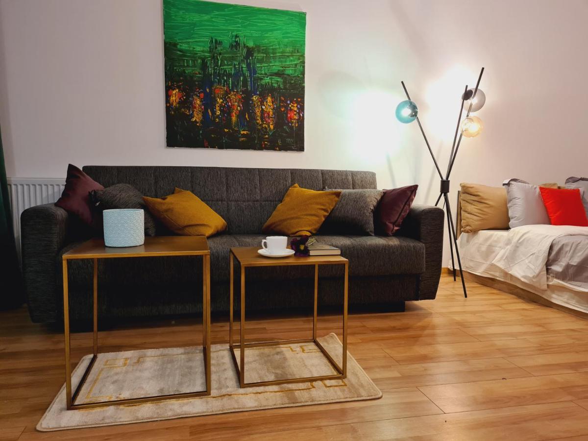 Lovely Ultracentral Apartment With Parking 克卢日-纳波卡 外观 照片